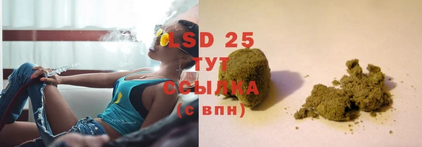 PSILOCYBIN Баксан