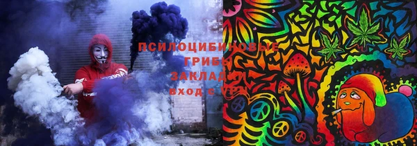 PSILOCYBIN Баксан
