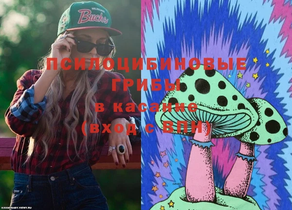 PSILOCYBIN Баксан