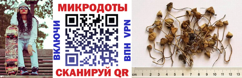Псилоцибиновые грибы MAGIC MUSHROOMS цена Балей